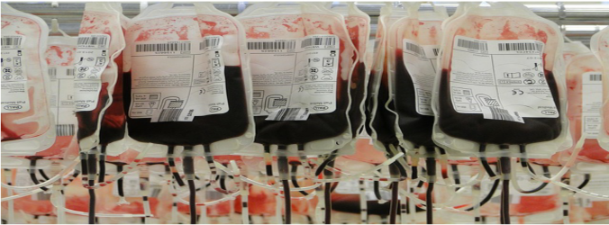 bloody hell blood donation bags
